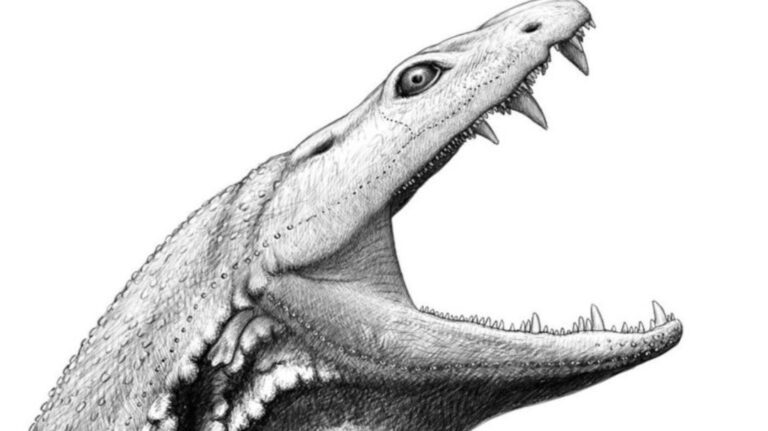 dinosaure-blanc-la-fascinante-histoire-dune-creature-prehistorique-unique
