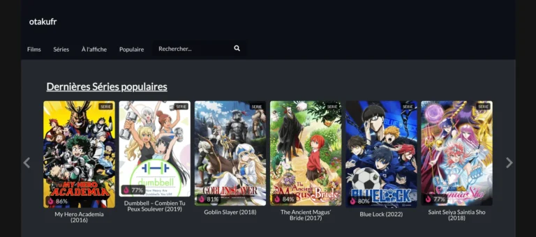 Nouvelle page d'accueil du site Otakufr avec sa nouvelle adresse en 2025