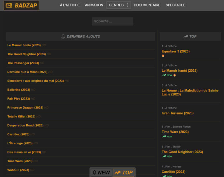 Page d'accueil du site de streaming Vizvop, souvent bloqué ou inaccessible